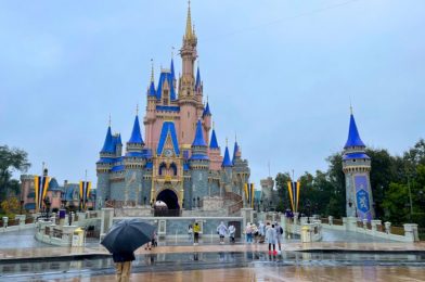 22 Photos & Videos From Our Rainy Day at Disney World!