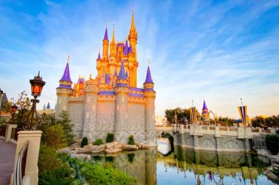 VIDEO: Did You Know About These Details in Disney’s Cinderella Castle Suite?!