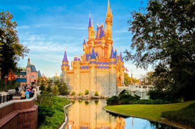 Will There Be A Free Dining Deal in Disney World in 2021?