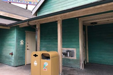 Where Are the Companion Restrooms in Animal Kingdom Located?