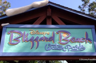 NEWS: Disney World Announces Blizzard Beach Hours For March!