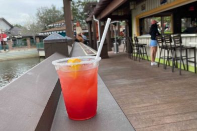 REVIEW – Dockside Margarita’s Latest Seasonal Margarita is a Florida Classic