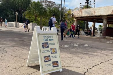 Our Two Favorite Places for a Quick Breakfast at Disney’s Animal Kingdom