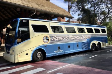 Disney’s Magical Express to End in 2021