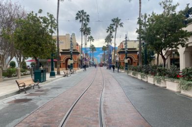 “We Will Mount a Legendary Comeback.” Disneyland President Comments on the Challenges of the Closure