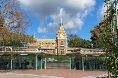 Photos! These Face Masks at Disneyland Resort Feature Mischievous Characters!