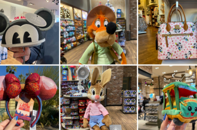 PHOTOS: Dooney & Bourke, Splash Mountain Plush, Wishables, Designer Ears, and More New Merchandise at Disneyland Resort