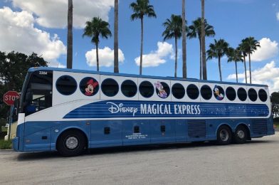 The Accessibility Problem of Cancelling Magical Express