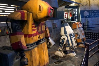 Can You Ship Your Custom-Made Droid Back Home?