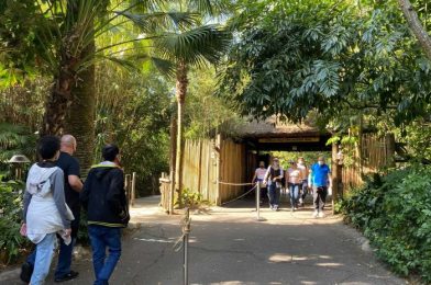 Gorilla Falls Exploration Trail at Animal Kingdom Under Partial Refurbishment