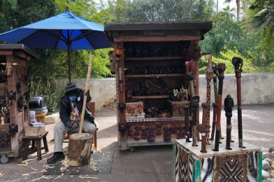 The Top 3 Souvenirs at Animal Kingdom