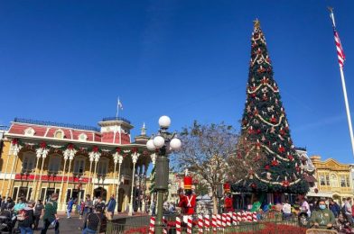 PHOTOS – Holiday Crowds Lighten Up at Magic Kingdom and Disney’s Hollywood Studios