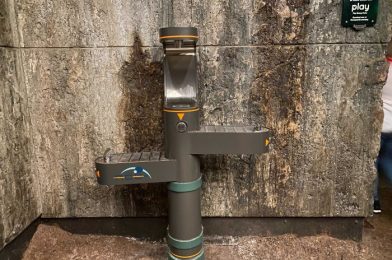 Water Bottle Refill Stations at Disney’s Animal Kingdom