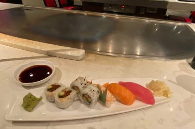 REVIEW – Teppan Edo at EPCOT Brings Entertainment and Taste Together, Safely