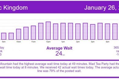 Easy Breezy Weekday – Disney World Wait Times for Tuesday, January 26, 2021