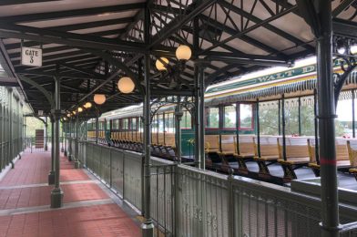 NEW Disney Parks Transportation Wishables (Including a Mini Parking Tram!) Are NOW Available Online!