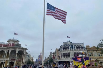 PHOTOS – The Latest Changes and Finds at Magic Kingdom