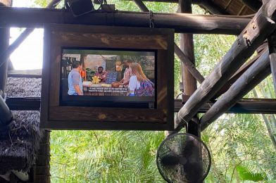 Recent Changes to Kilimanjaro Safaris Bring Modern Touches