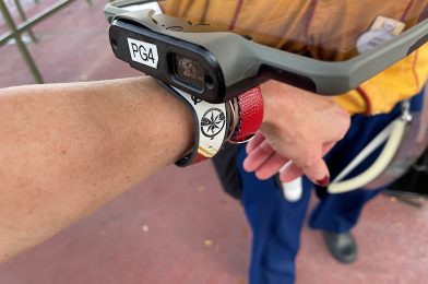 My Experience Using New Modified Park Hopping to Visit All 4 Disney World Parks