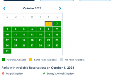 Magic Kingdom Park Passes Fully Booked For All Guests on October 1 for 50th Anniversary