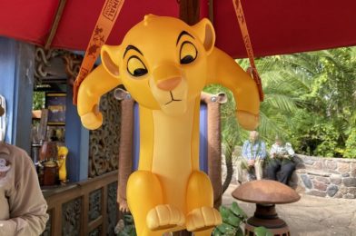 Top 3 Best and Worst Animal Kingdom Dining Locations According to You