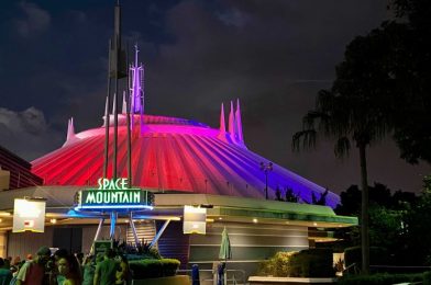 Top 5 Highest Rated Magic Kingdom Attractions For Adults