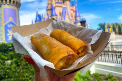 The Magic Kingdom Spring Roll Cart Might Be Taking a LONG Break