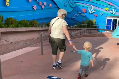 Top 3 Reasons to Visit Walt Disney World With a Toddler