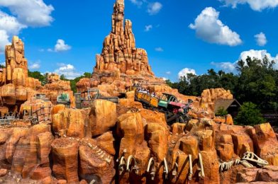 The Ultimate Guide to the BEST and WORST Seats On EVERY Magic Kingdom Ride