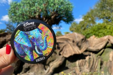 What’s New at Animal Kingdom: A DFB Favorite Treat Returns, NEW Starbucks Flavors, and a SURPRISE Brookie!