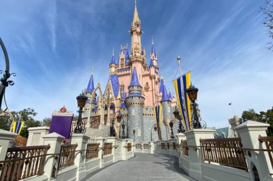 NEWS: Magic Kingdom Park Passes are BOOKED for Disney World’s 50th Anniversary