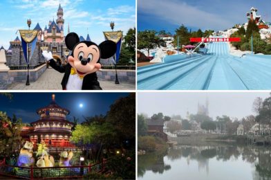 WDWNT Daily Recap (1/26/21): Mask Policy Updated for Water Parks, Record 2022 Attendance Predicted for Disneyland, Florida Eyes Olympics After NBA Bubble, Flower and Garden Festival Details, and More