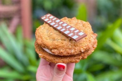 Our Favorite Star Wars Cookie Has Returned to Disney World!