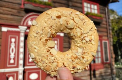 REVIEW: New Almond Ring Cookie at Norway Pavilion in EPCOT