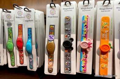 Wilderness Explorers! Check Out the New UP MagicBand in Disney World