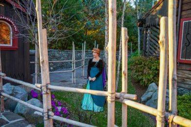 PHOTOS: Anna Moves to New Socially-Distanced “Frozen” Meet & Greet Area in EPCOT’s Norway Pavilion