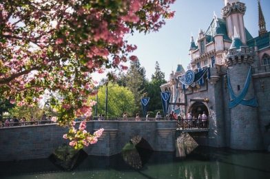 Can Disneyland Survive COVID-19?