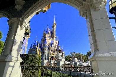 Do You Know These 10 Shocking Facts About Disney World?