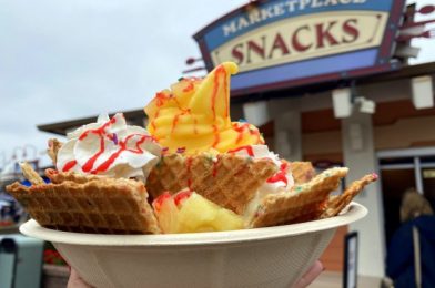 What’s New in Disney Springs: Butter Chicken Poutine (!!), A New Spot Reopens, Plush Pals, and More