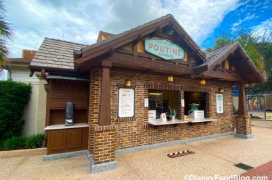 Introducing Butter Chicken Poutine — Now Available in Disney Springs for a Limited Time!