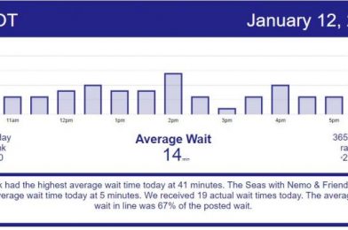 Another Day of Low Wait Times – Disney World Wait Times for Tuesday, January 12, 2021