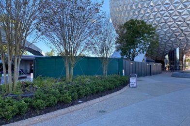 PHOTOS: Construction Walls Up for Pavement Work and Flag Installation at EPCOT Entrance