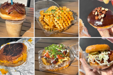 REVIEW: NEW Spicy & Loaded Fries, Chicken Donut Sandwich, Grilled Cheese, Cinnamon Bun Cold Brew, and Maple Double Bacon Donut & Rum Cold Brew Leaves Us “Glazed and Confused” at Everglazed Donuts & Cold Brew in Disney Springs