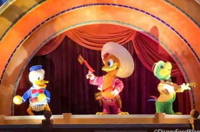 PHOTOS! Donald Duck Was Swapped with a…Plant (Huh?) on a Disney World Ride!