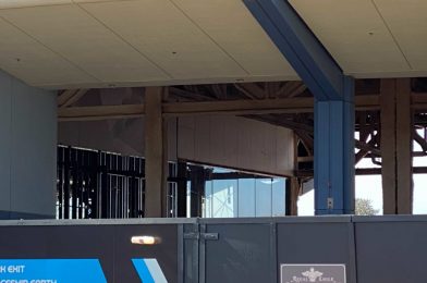 PHOTOS: Additional Walls and Windows Installed in Mouse Gear at EPCOT