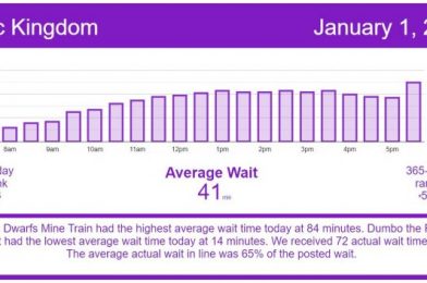 2021 Starts With a Slow Down – Disney World Wait Times for Friday, January 1, 2021