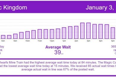 Holiday Crowds Are Heading Home – Disney World Wait Times for Sunday, January 3, 2021