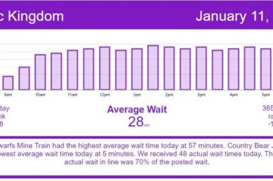 The Lowest Wait Times of the Month Continue – Disney World Wait Times for Monday, January 11, 2021