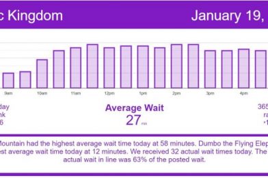 It is Slow Once Again – Disney World Wait Times for Tuesday, January 19, 2021