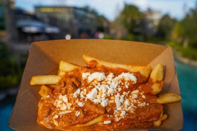 REVIEW: New Delhi Poutine Disappoints at The Daily Poutine in Disney Springs